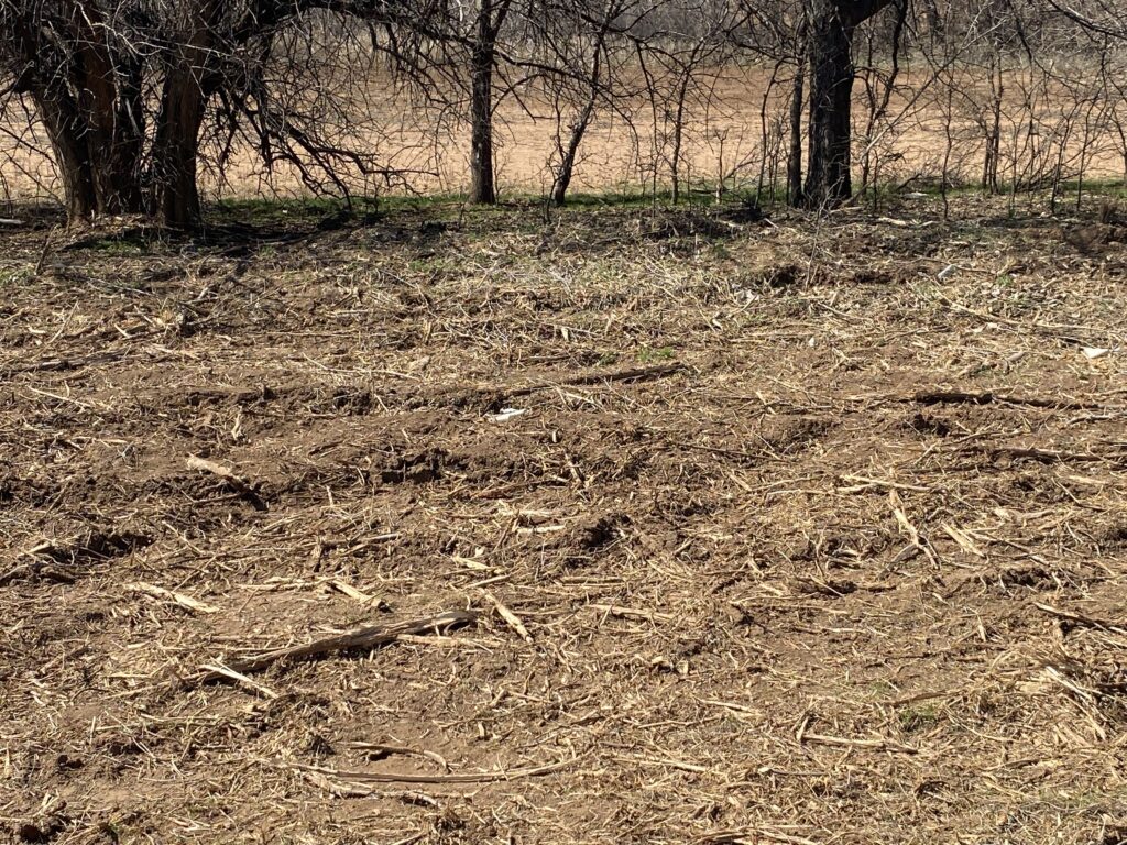 tree mulching