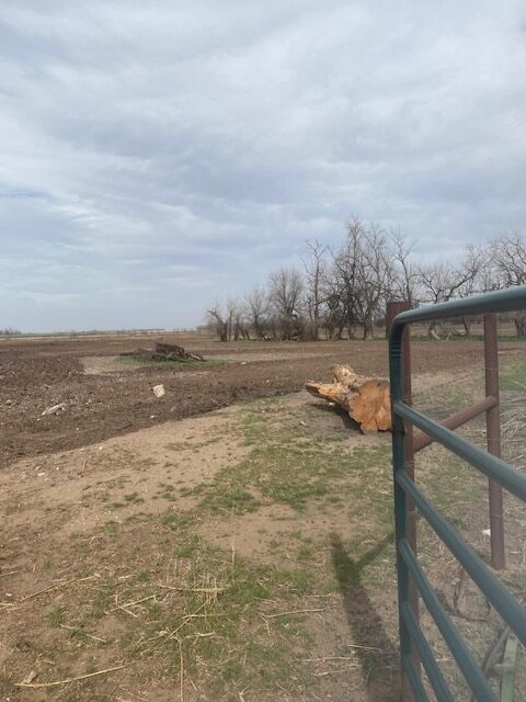 farm cleanup