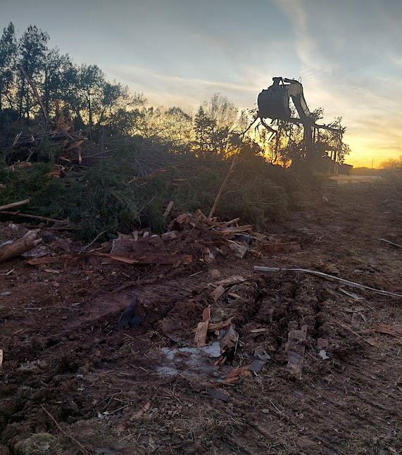 tree removal