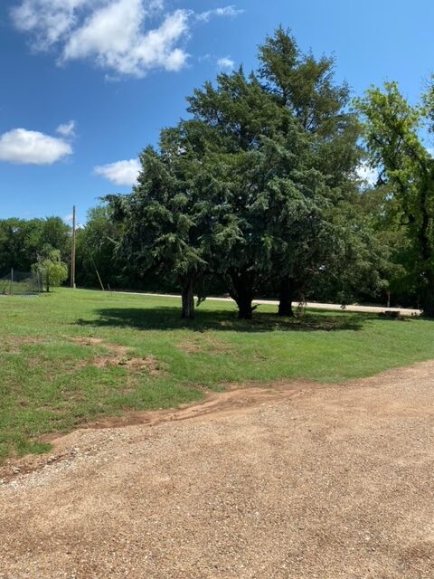 before tree damage