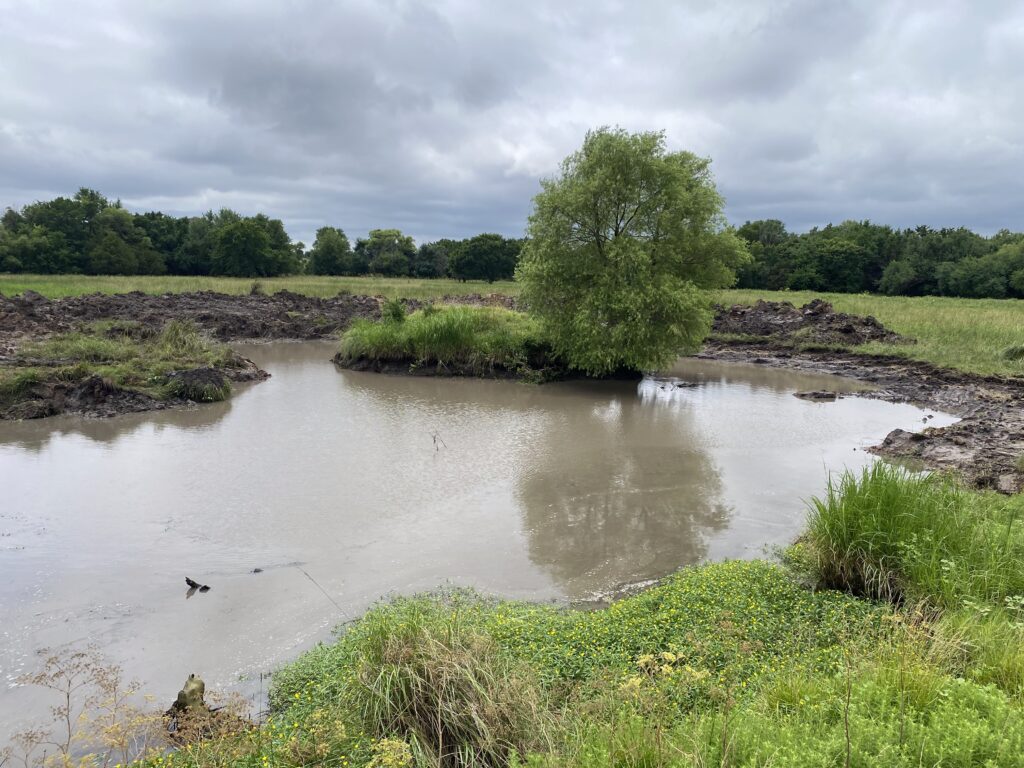 pond clean out
